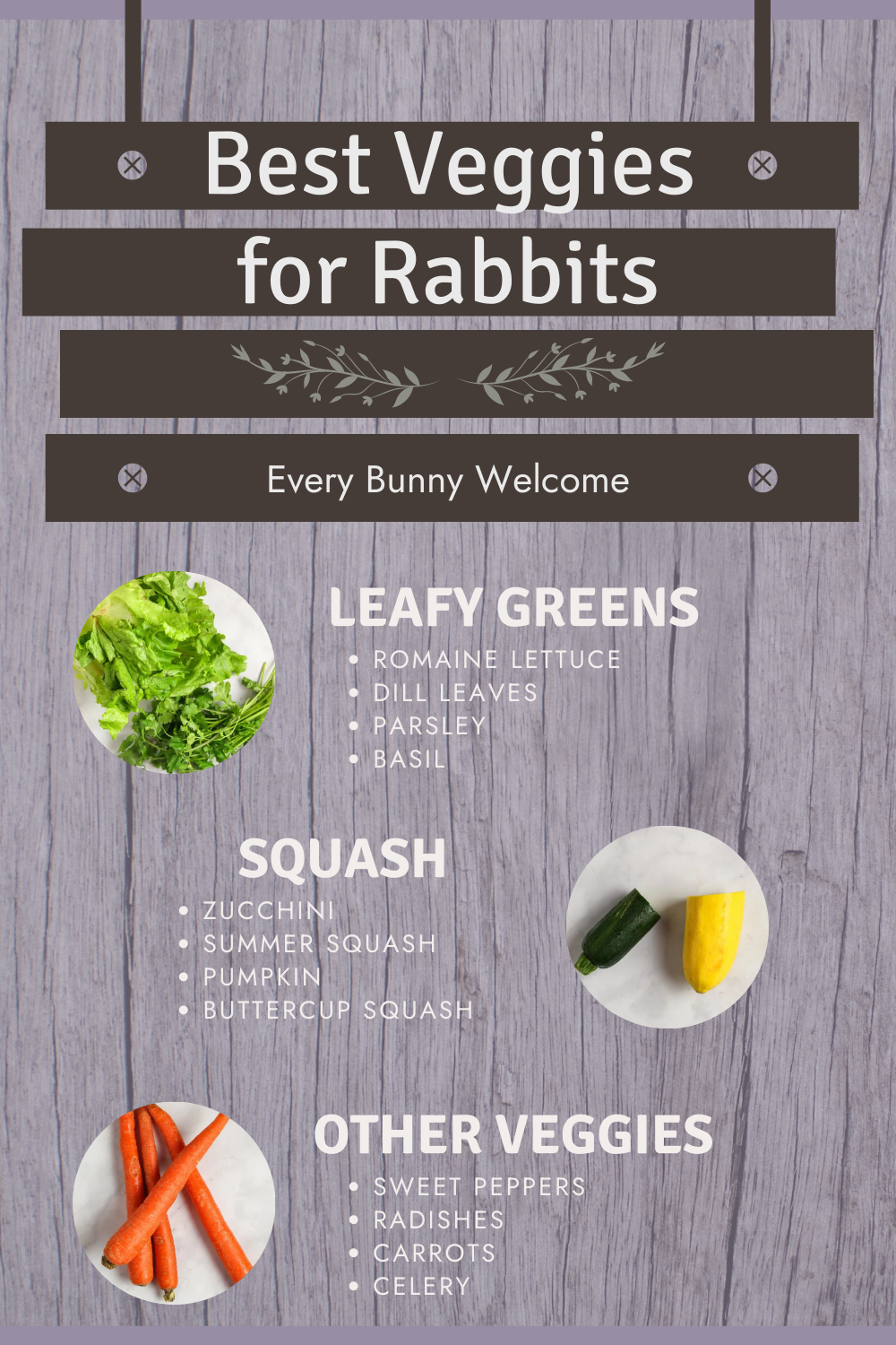 Ultimate List of the Best Veggies for Rabbits Every Bunny